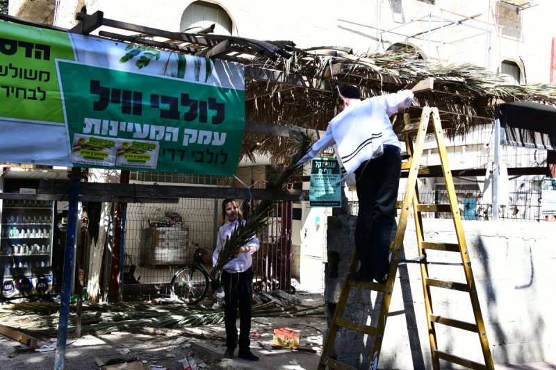 שוקי לרר