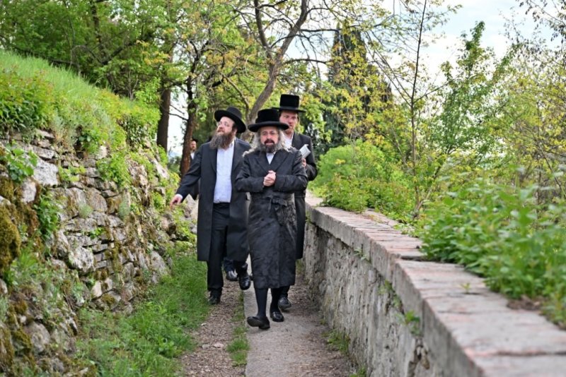 יהושע פרוכטר