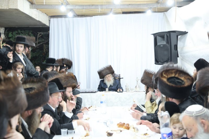 שלומי טריכטר