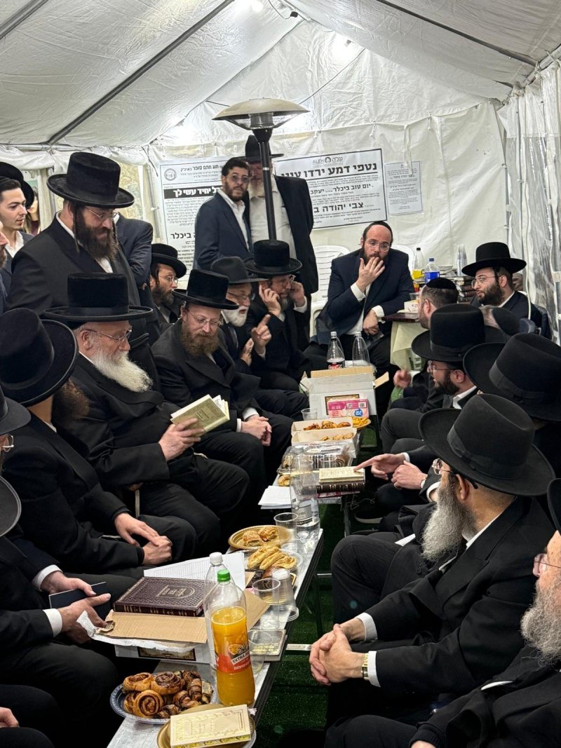 באדיבות המצלם