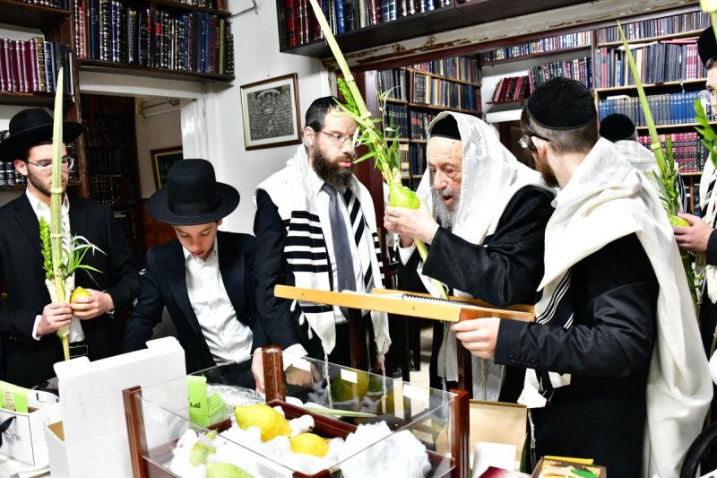 שוקי לרר