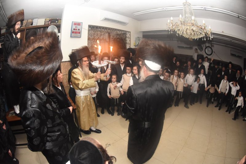 יהודה פרקוביץ