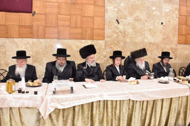יהודה פרקוביץ