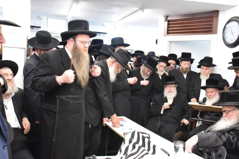 יהודה פרקוביץ