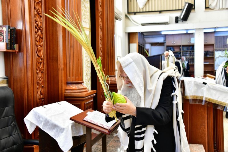 שוקי לרר