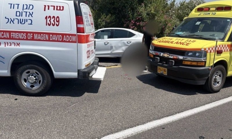 נעצרה לבדיקת משטרה ונהרגה: צעירה נדרסה בכביש 65