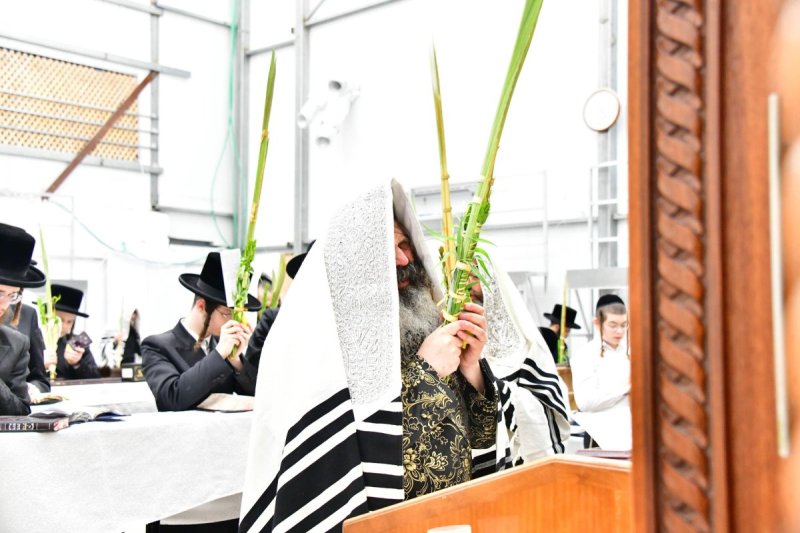 שוקי לרר