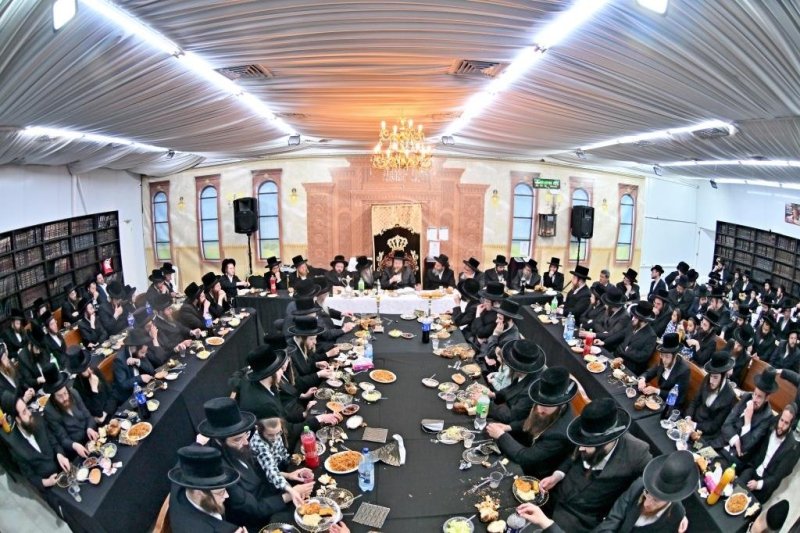 יהושע פרוכטר