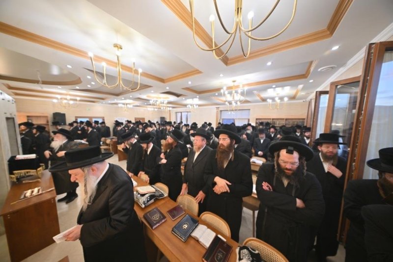 יהושע פרוכטר