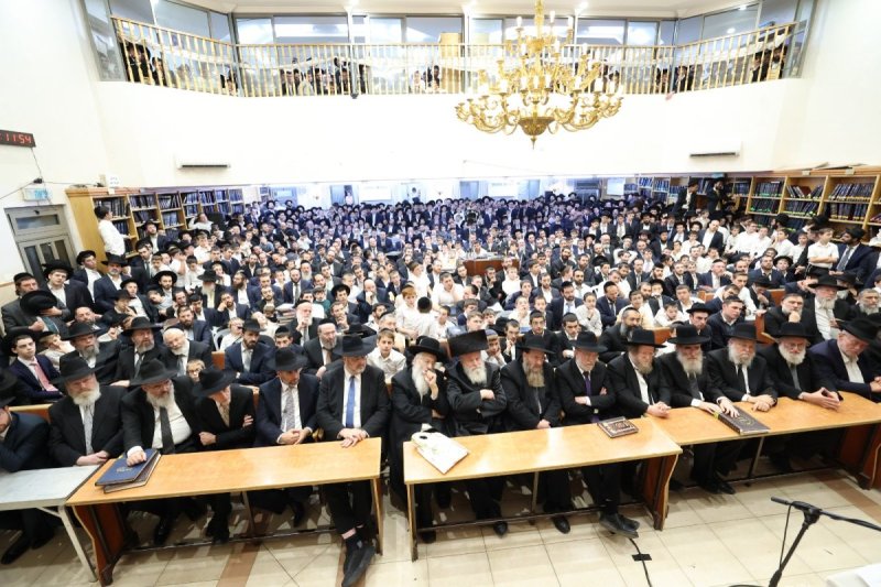 קובי הר צבי