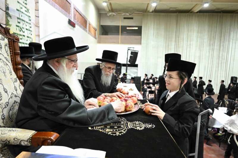 משה גולדשטיין