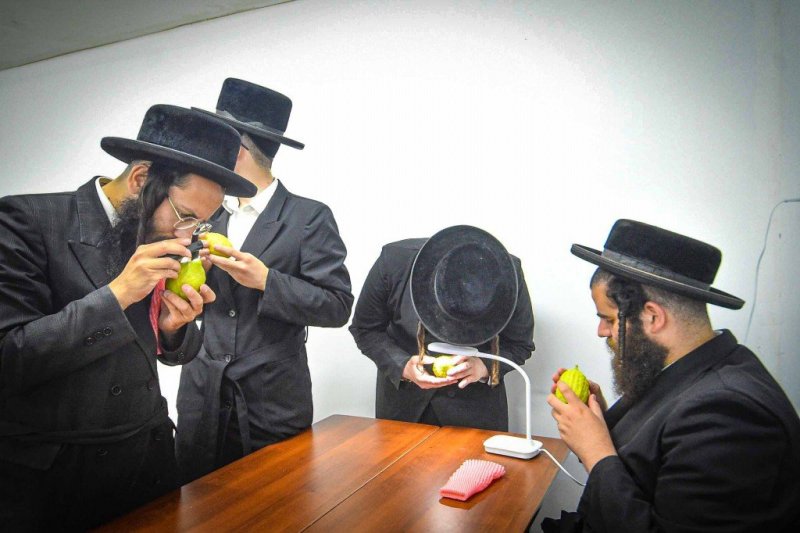 ארי קופרשטוק