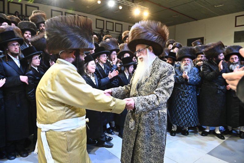 שוקי לרר