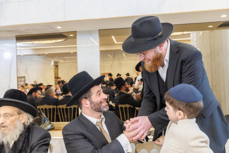 אלעזר פיינשטיין