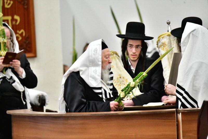 שוקי לרר