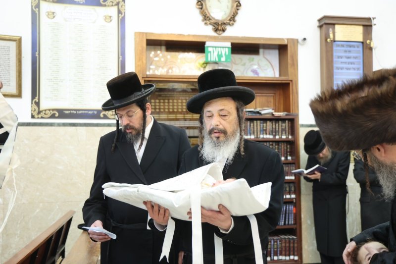 שלומי טריכטר