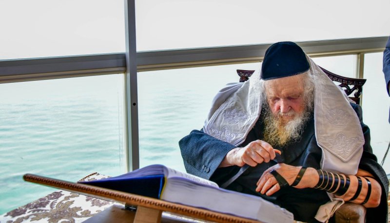 שוקי לרר