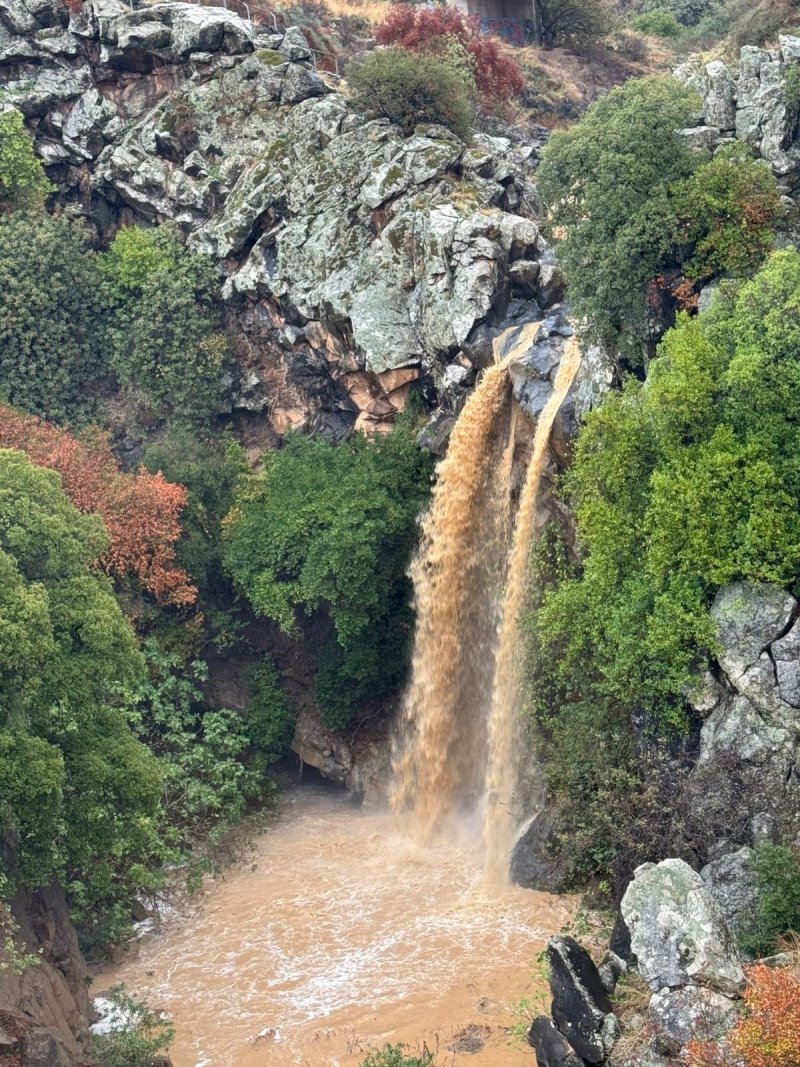 עודאי עבד אל ולי רשות הטבע והגנים