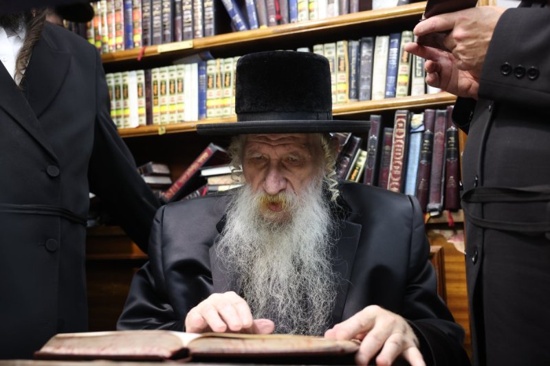 דוד כהן