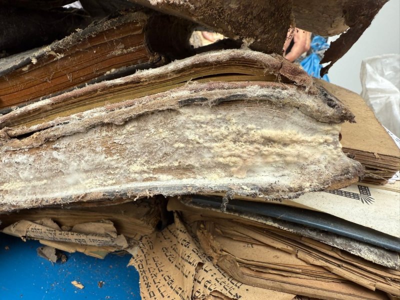 פיוטר נזארוק