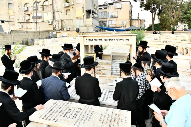 שוקי לרר