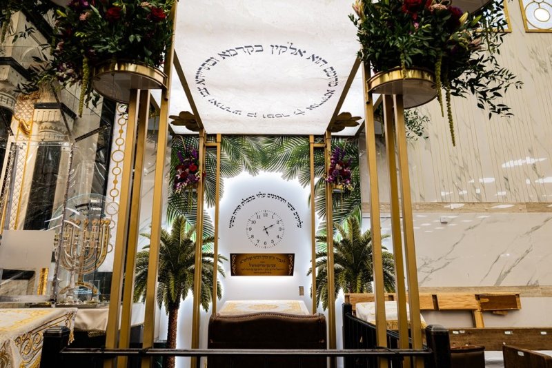 י. שטיין