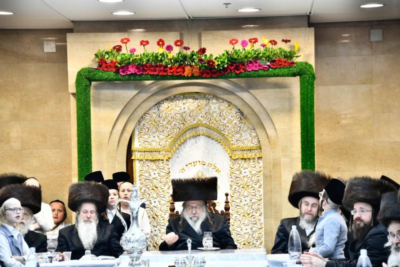 שוקי לרר