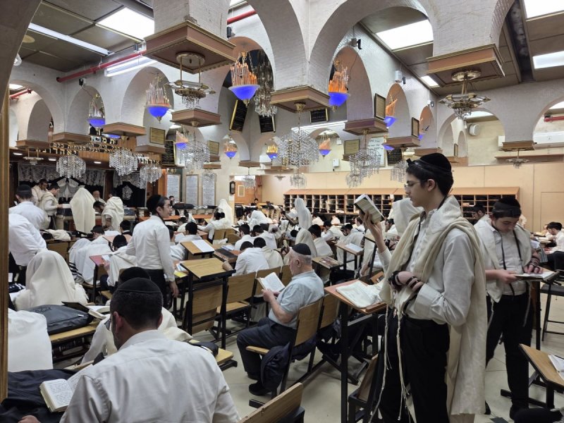 באדיבות המצלם