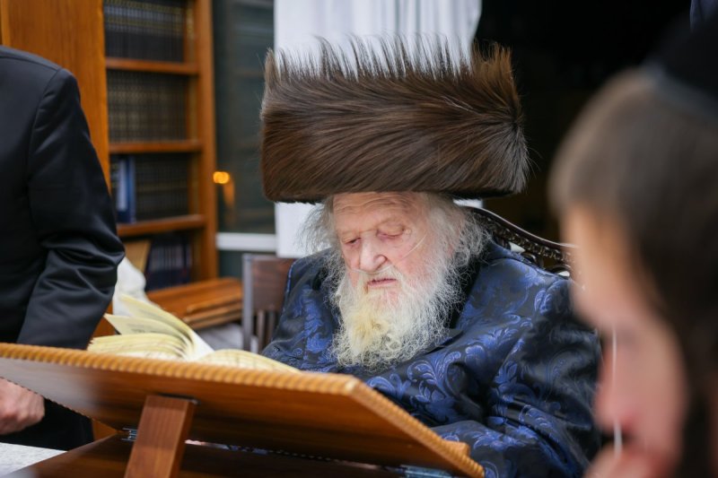 דניאל נפוסי