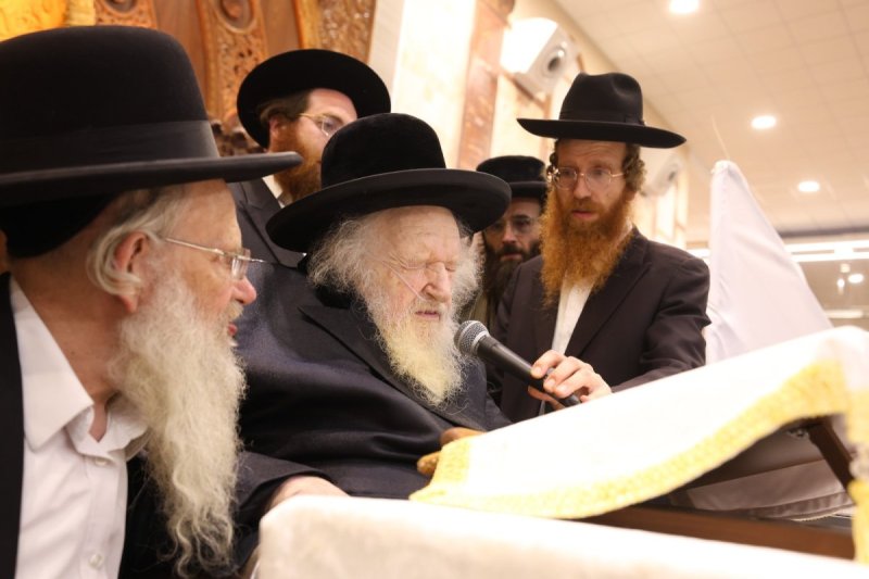 דוד ארזני