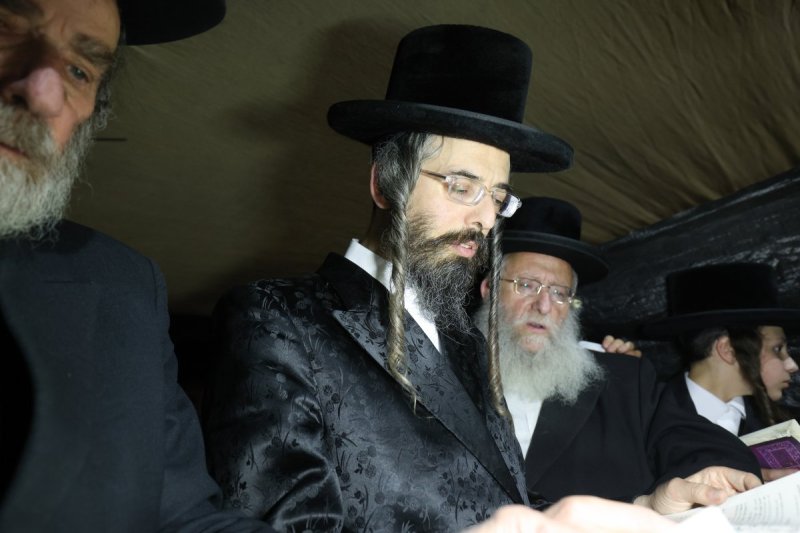 דוד ארזני