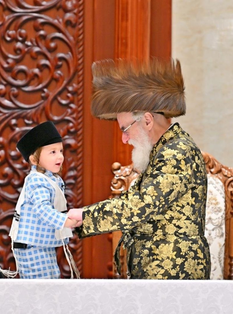 יהושע פרוכטר