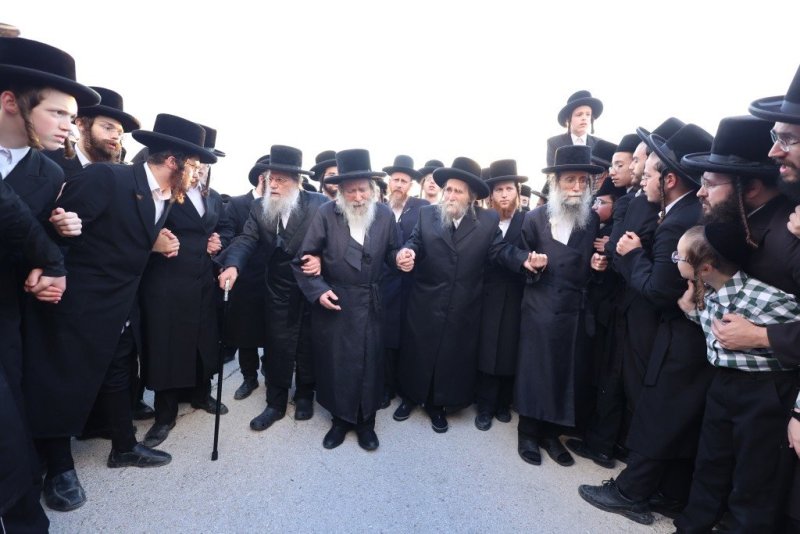 שלומי טריכטר