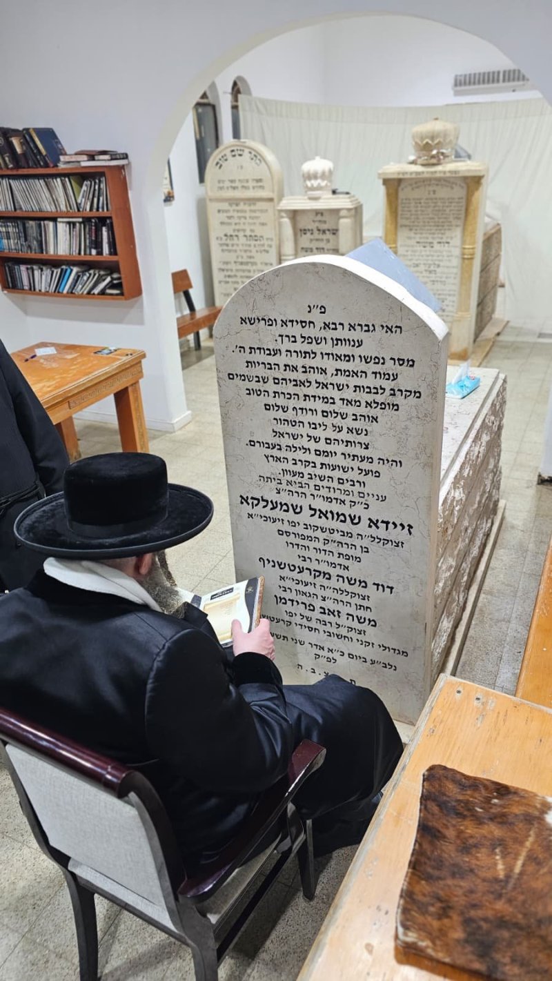 יהודה פרקוביץ