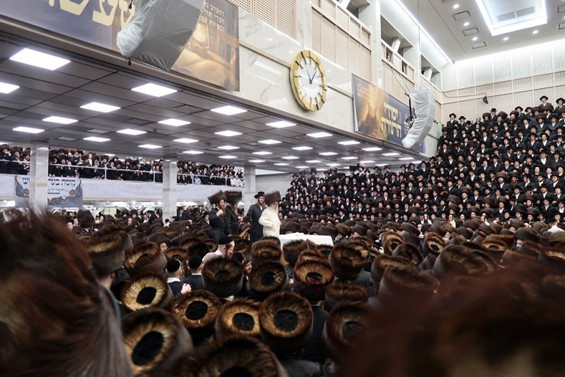 י. שטיין