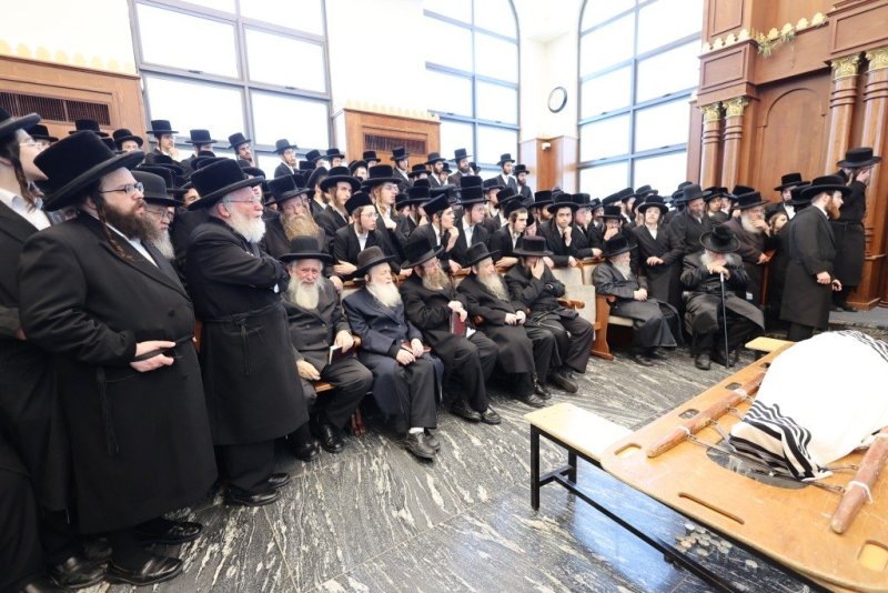 שלומי טריכטר