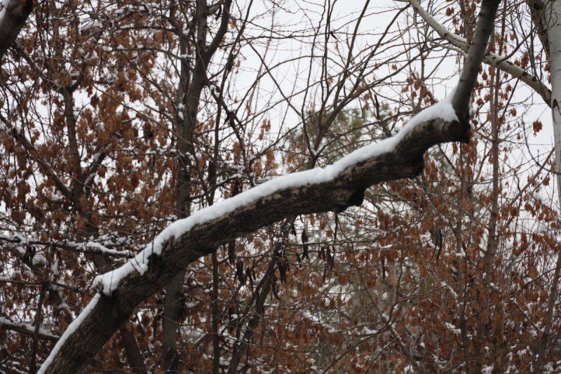 צילום: מרדכי לובעצקי