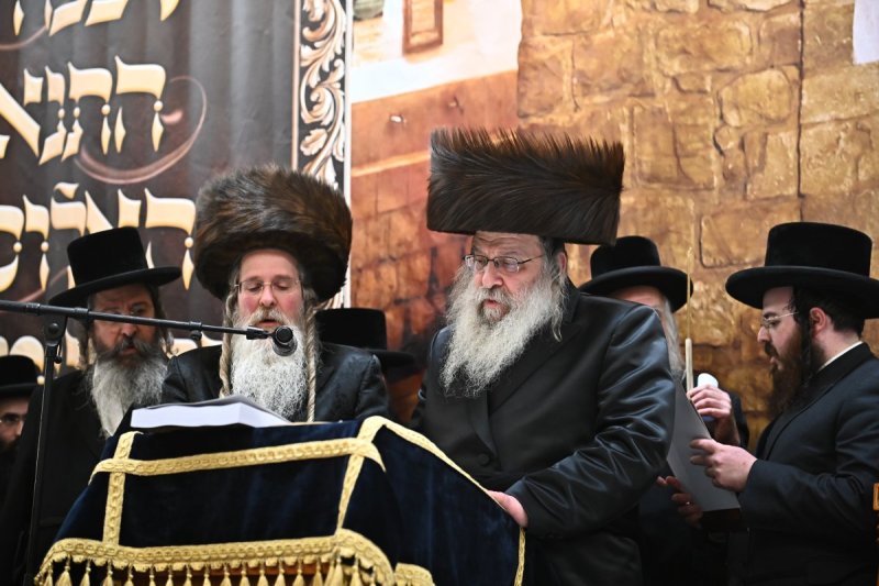 שוקי לרר