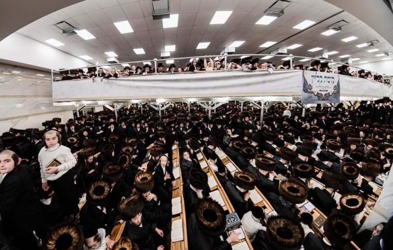 י. שטיין