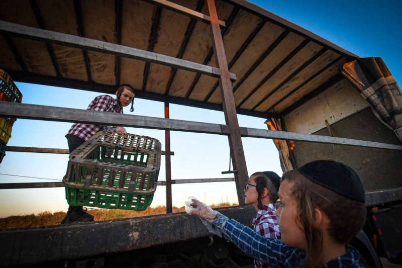 ארי קופרשטוק