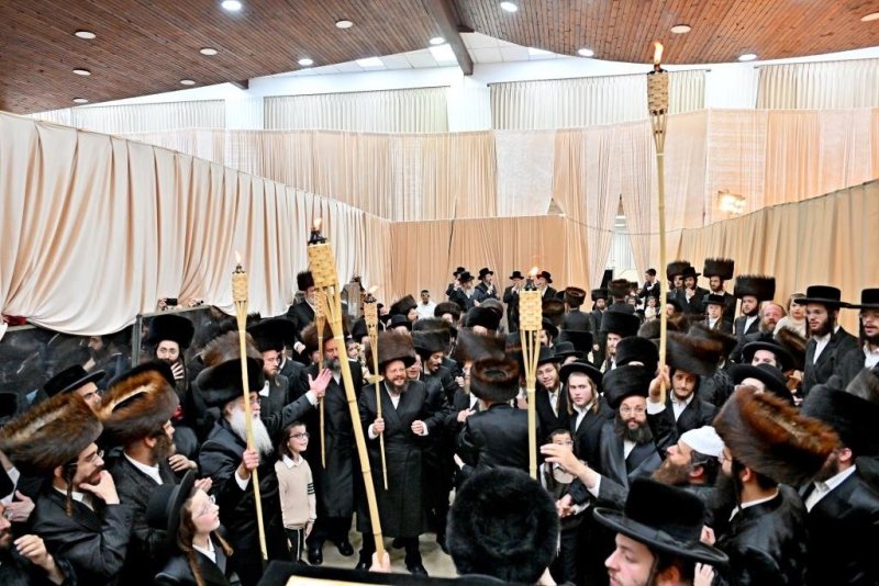 יהושע פרוכטר