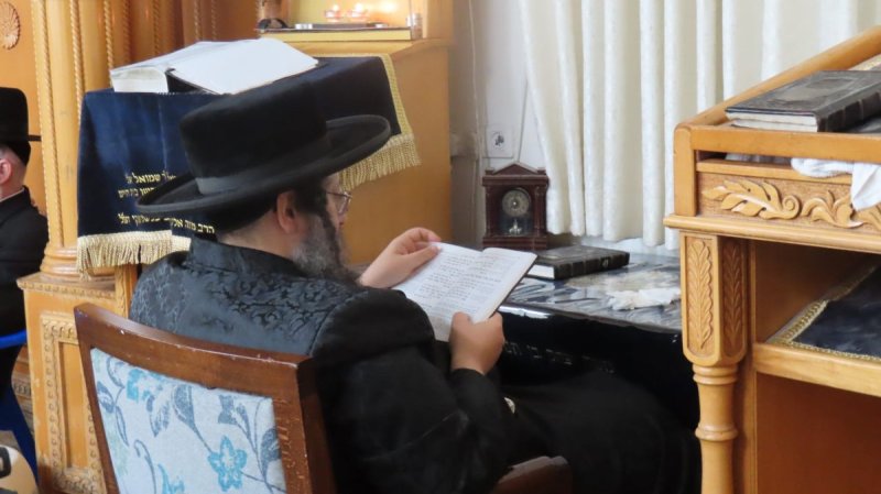 שוקי לרר