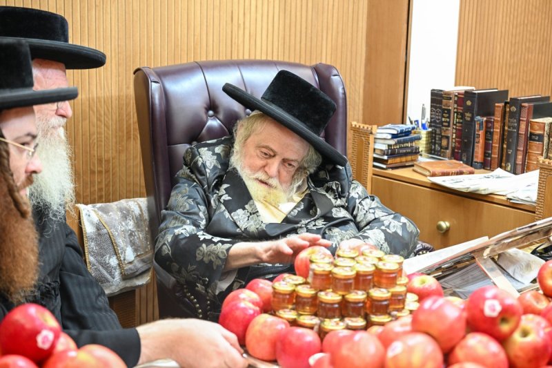 משה גולדשטיין