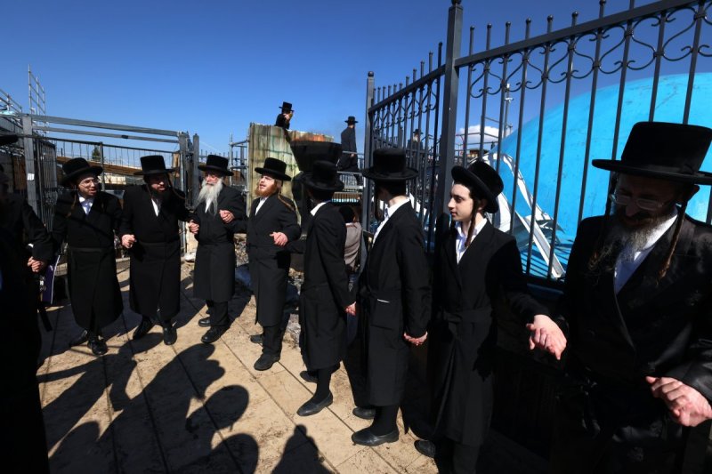 דוד כהן