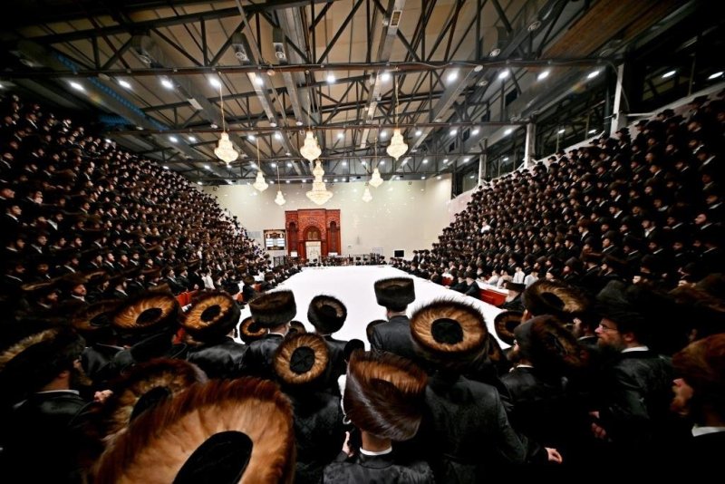 יהושע פרוכטר