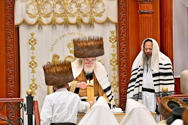 יהושע פרוכטר