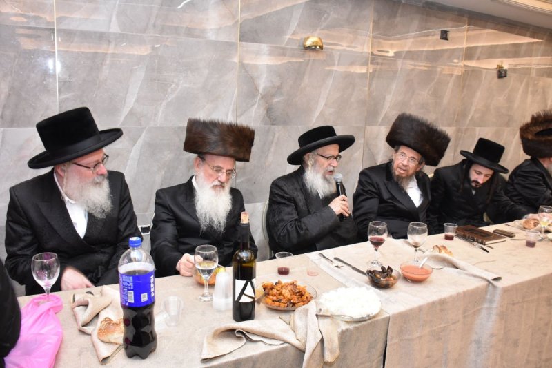 יהודה פרקוביץ
