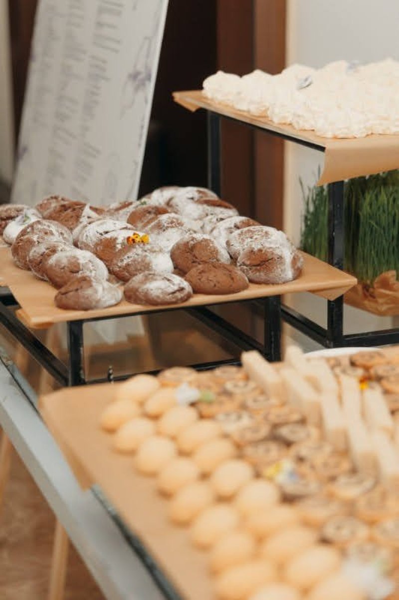 אליסא גורנובקא