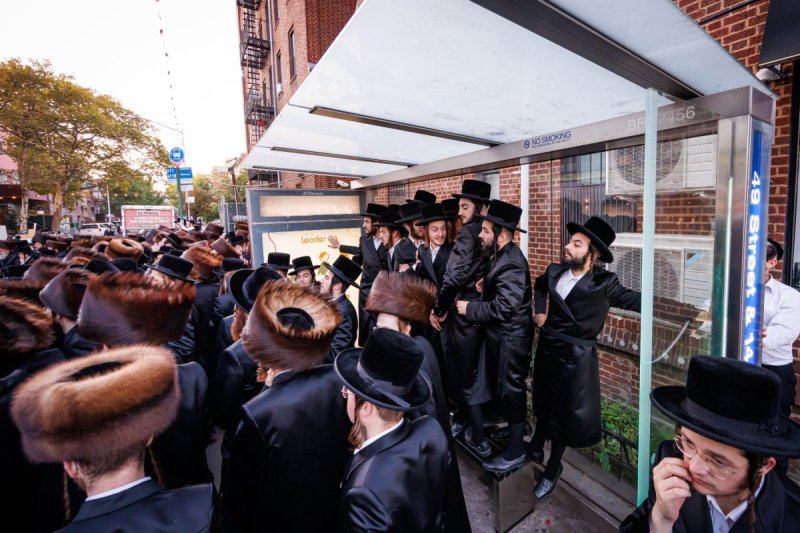 האחים לאנטשעווסקי ואושי וויינגארטן