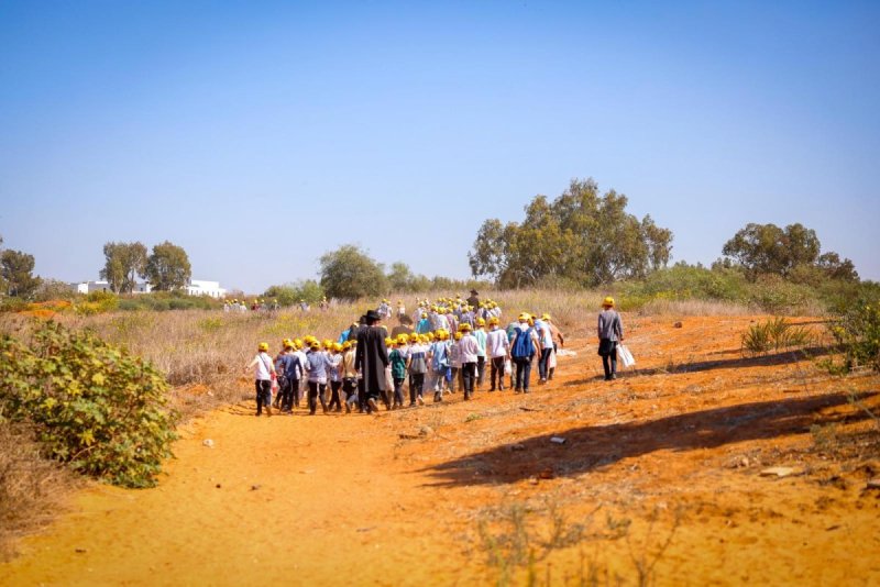 דניאל נפוסי